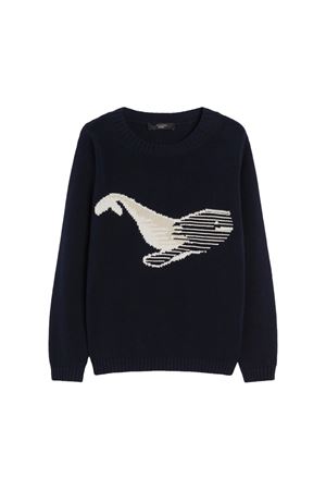 Medlar MAX MARA WEEKEND | Knitwear | 2525366171650002